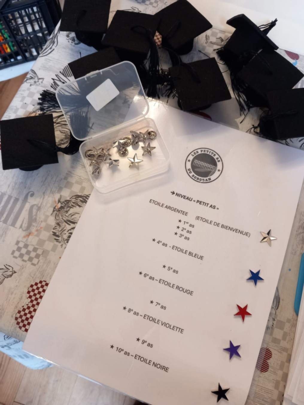 Systèmes de récompenses (pin's étoile de couleur) et niveaux de la progression des petits as 